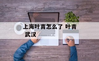 上海叶青怎么了 叶青 武汉