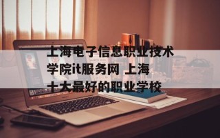 上海电子信息职业技术学院it服务网 上海十大最好的职业学校