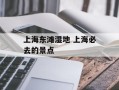 上海东滩湿地 上海必去的景点
