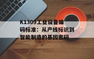 K1309工业设备编码标准：从产线标识到智能制造的基因密码
