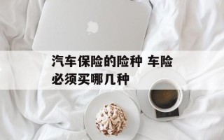 汽车保险的险种 车险必须买哪几种