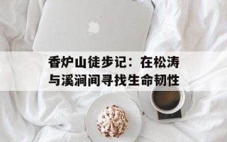 香炉山徒步记：在松涛与溪涧间寻找生命韧性