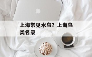 上海常见水鸟？上海鸟类名录