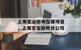 上海宝冶郑州在建项目，上海宝冶郑州分公司