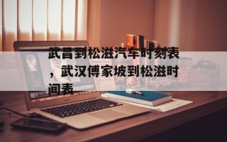 武昌到松滋汽车时刻表，武汉傅家坡到松滋时间表