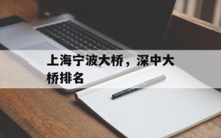 上海宁波大桥，深中大桥排名