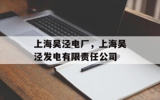 上海吴泾电厂，上海吴泾发电有限责任公司