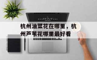 杭州油菜花在哪里，杭州芦苇花哪里最好看