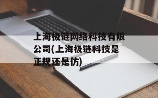 上海极链网络科技有限公司(上海极链科技是正规还是仿)