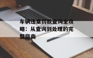车辆违章罚款查询全攻略：从查询到处理的完整指南