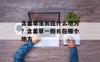 含羞草生长在什么地方？含羞草一般长在哪个地方
