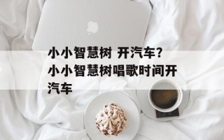 小小智慧树 开汽车？小小智慧树唱歌时间开汽车