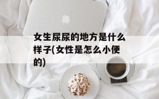 女生尿尿的地方是什么样子(女性是怎么小便的)