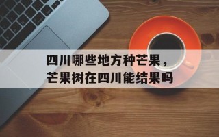 四川哪些地方种芒果，芒果树在四川能结果吗