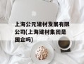 上海公元建材发展有限公司(上海建材集团是国企吗)