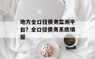 地方全口径债务监测平台？全口径债务系统填报