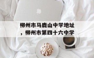 柳州市马鹿山中学地址，柳州市第四十六中学