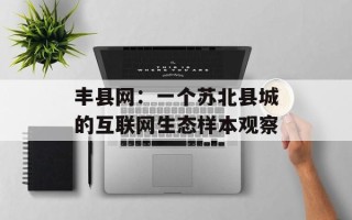 丰县网：一个苏北县城的互联网生态样本观察