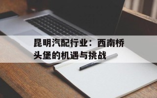 昆明汽配行业：西南桥头堡的机遇与挑战