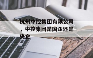 杭州中控集团有限公司，中控集团是国企还是央企