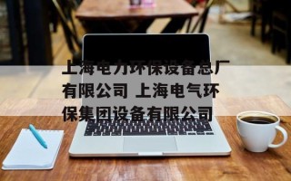 上海电力环保设备总厂有限公司 上海电气环保集团设备有限公司