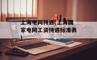 上海电网待遇(上海国家电网工资待遇标准表)