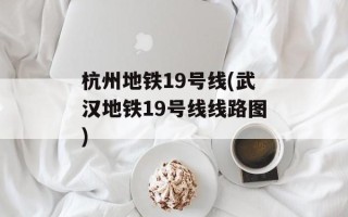 杭州地铁19号线(武汉地铁19号线线路图)