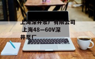 上海深井泵厂有限公司 上海48—60V深井泵厂