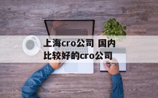上海cro公司 国内比较好的cro公司
