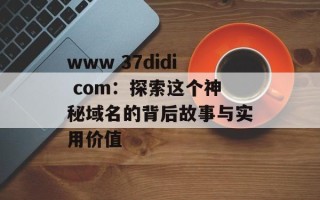 www 37didi com：探索这个神秘域名的背后故事与实用价值