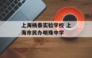 上海杨泰实验学校 上海市民办明珠中学