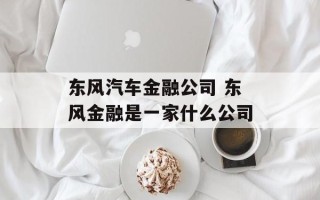 东风汽车金融公司 东风金融是一家什么公司