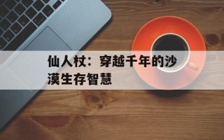 仙人杖：穿越千年的沙漠生存智慧