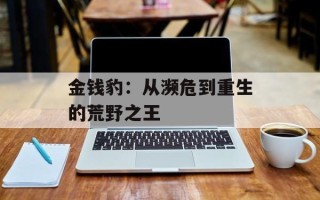 金钱豹：从濒危到重生的荒野之王