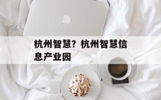 杭州智慧？杭州智慧信息产业园