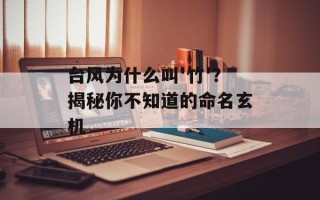 台风为什么叫'竹'？揭秘你不知道的命名玄机
