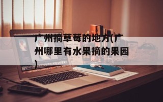 广州摘草莓的地方(广州哪里有水果摘的果园)
