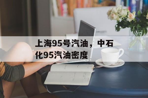 上海95号汽油，中石化95汽油密度-第1张图片-