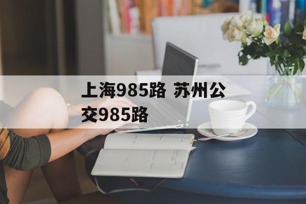 上海985路 苏州公交985路-第1张图片-