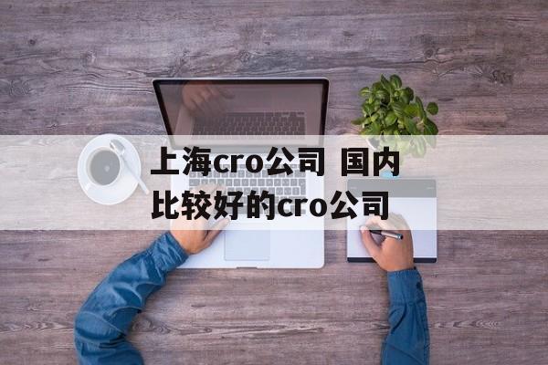 上海cro公司 国内比较好的cro公司-第1张图片-