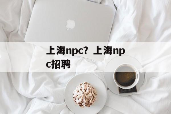 上海npc？上海npc招聘-第1张图片-