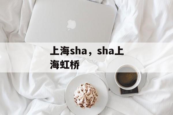 上海sha，sha上海虹桥-第1张图片-