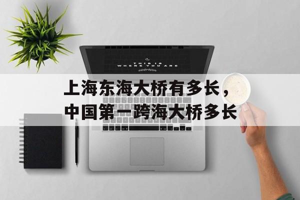 上海东海大桥有多长，中国第一跨海大桥多长-第1张图片-