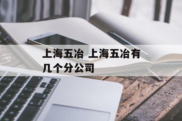 上海五冶 上海五冶有几个分公司-第1张图片-