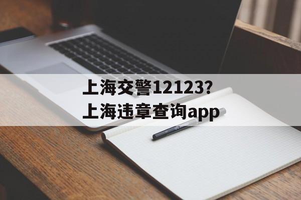 上海交警12123？上海违章查询app-第1张图片-