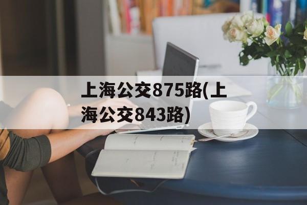 上海公交875路(上海公交843路)-第1张图片-