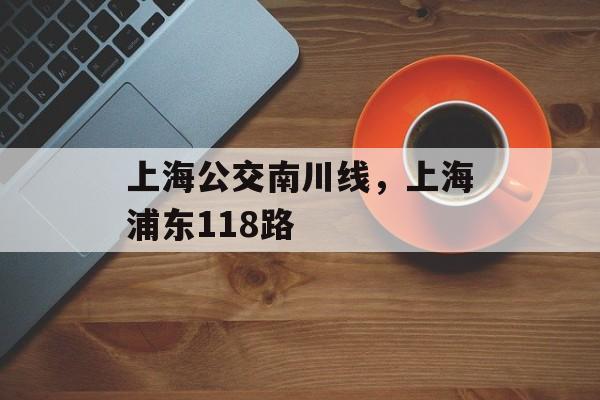 上海公交南川线，上海浦东118路-第1张图片-
