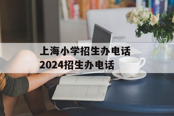 上海小学招生办电话 2024招生办电话-第1张图片-