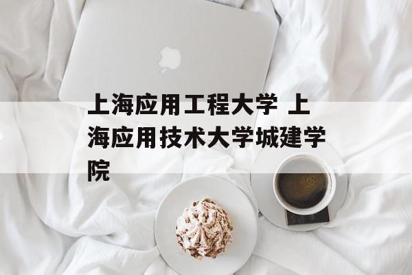 上海应用工程大学 上海应用技术大学城建学院-第1张图片-