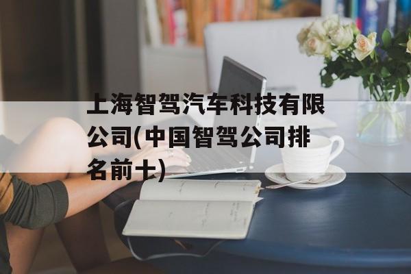 上海智驾汽车科技有限公司(中国智驾公司排名前十)-第1张图片-